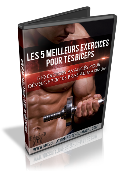 Les 5 meilleurs exercices pour tes biceps
